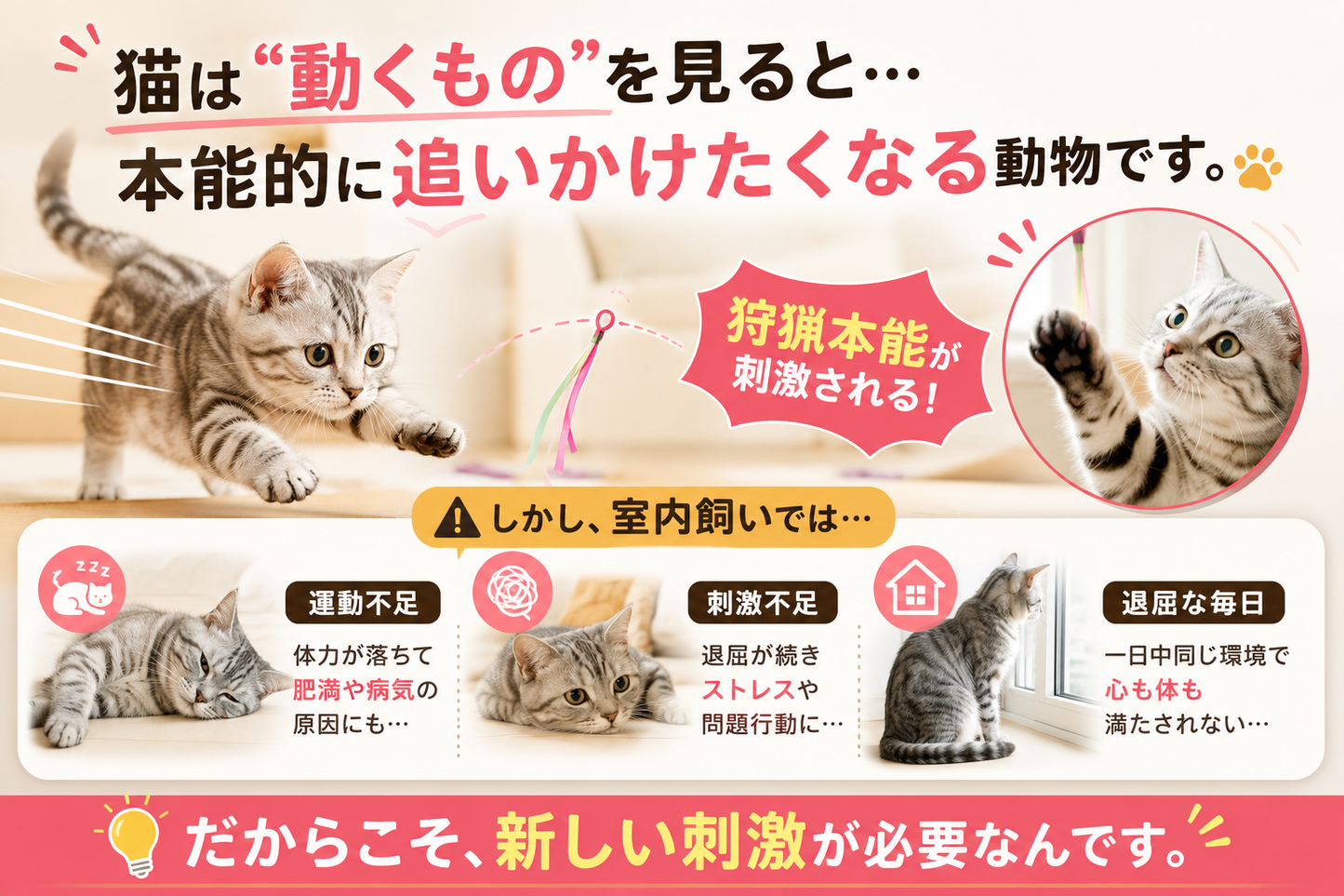 ZenCat™ ストレス軽減